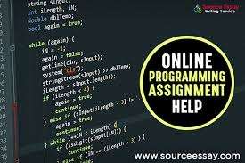 I would solve any programming homework/assignment in any language