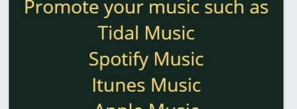 I will do tidal music promotion, Spotify streams and Apple Music promotion