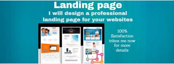 I will design a professional landing page for your website