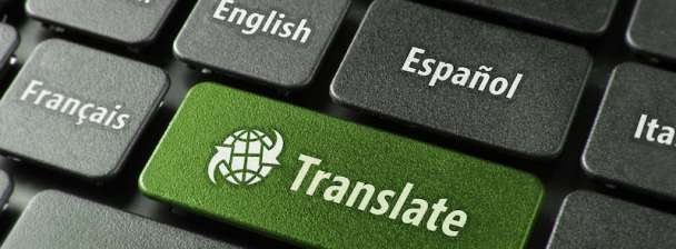 i will translat your project
