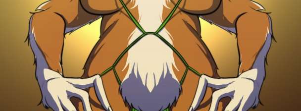 I Will create You a Furry illustration