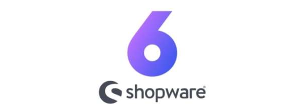 I will fix problems in your Shopware 6 system