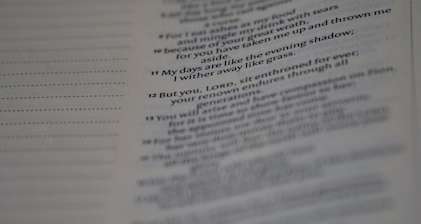I will professionally proofread and polish your 1000-word document