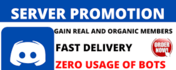 I will grow your nft discord, discord server promotion