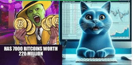 I will create 10 crypto memes for your project