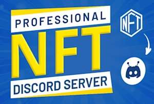 I  will setup professional nft discord server