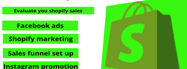 I will skyrocket your shopify website to increase sales and brand awareness