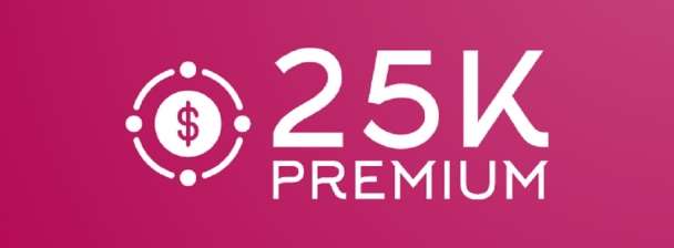 25,000 Premium Visits to Your Site