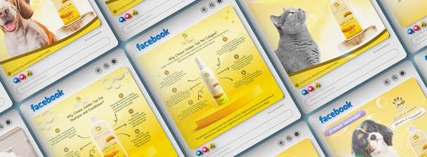 Social Media Design Package