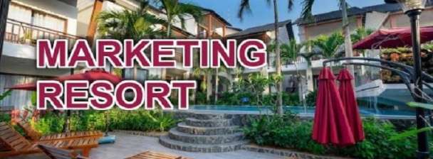I will do hotel revenue management marketing service