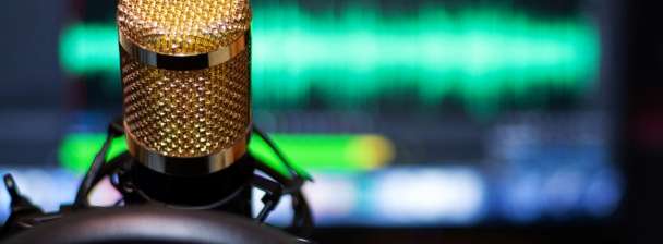 professional voice over services