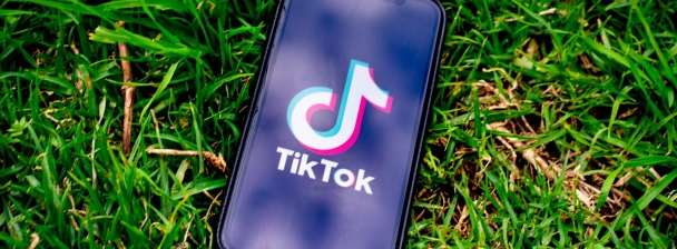 I will grow and promote your tiktok with my 11m followers