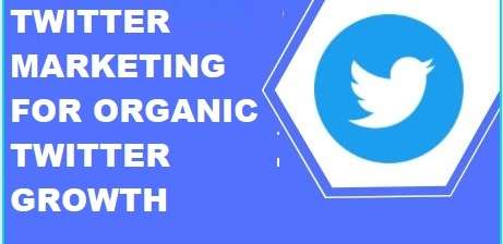 exclusive twitter marketing for organic twitter growth