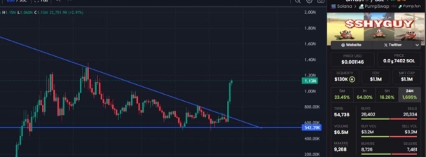 I will consult you on early-stage crypto projects and token launches