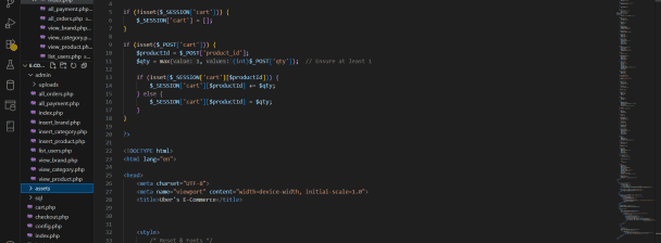 I will fix small website bugs