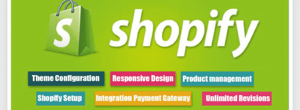 will build you an automated dropshipping shopify store or website