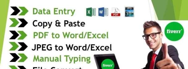 I will do data entry and text formatting in excel