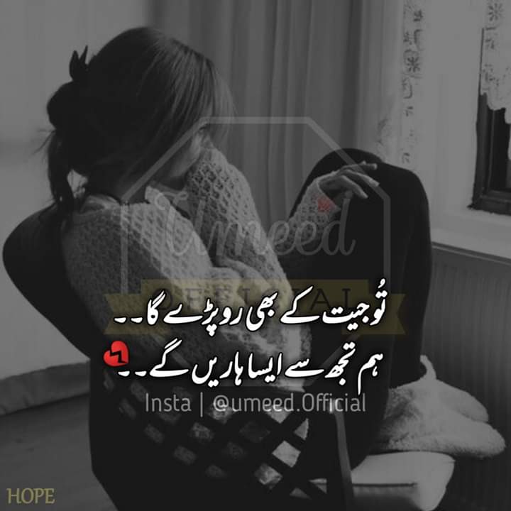 undefined image 1